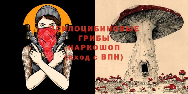 соль ск Балабаново