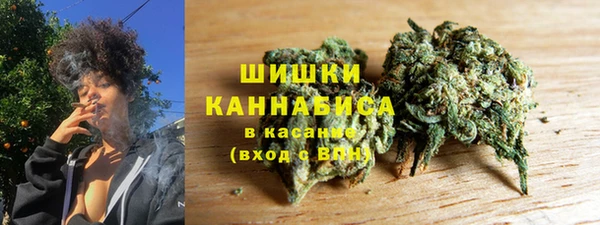 крисы Баксан